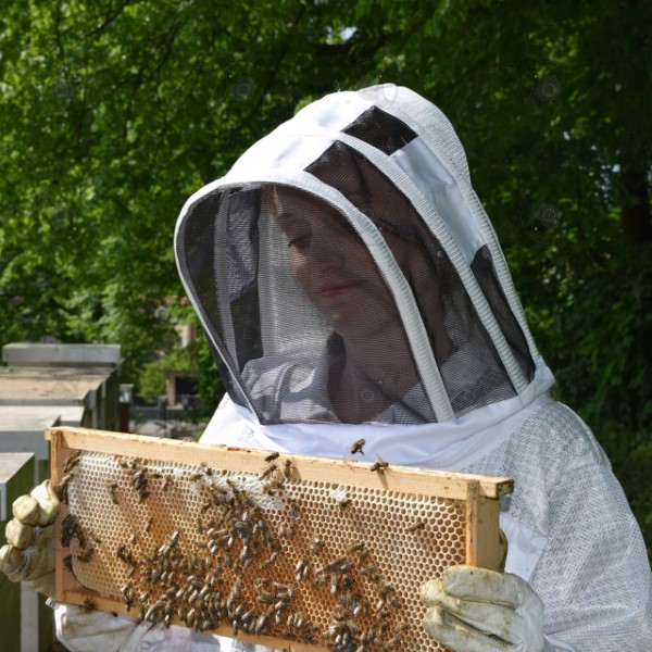 Čebelarska oprema